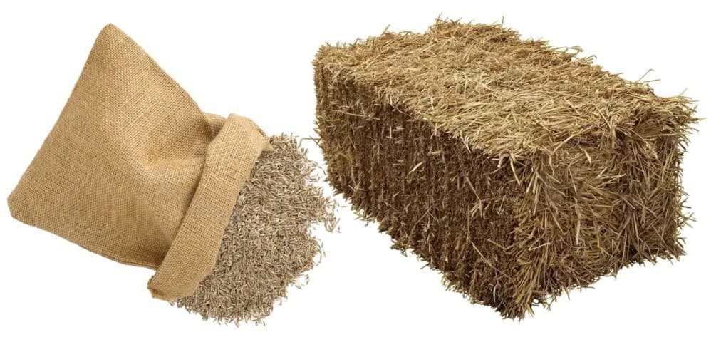 Seed & Straw